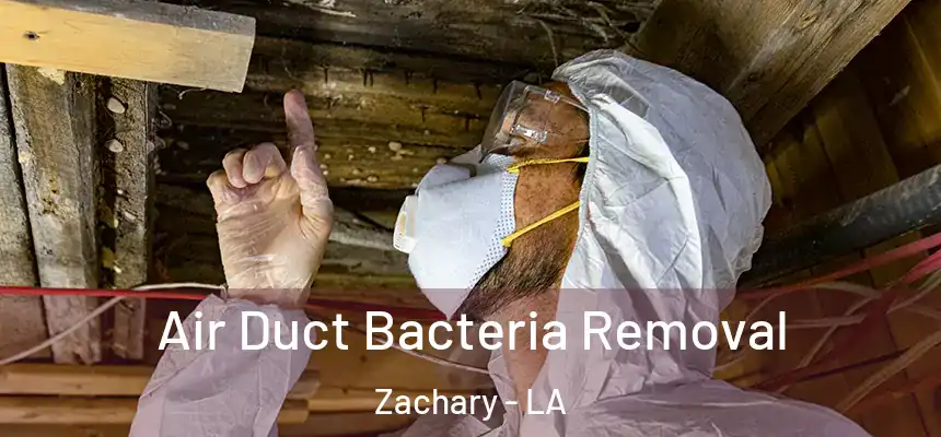 Air Duct Bacteria Removal Zachary - LA