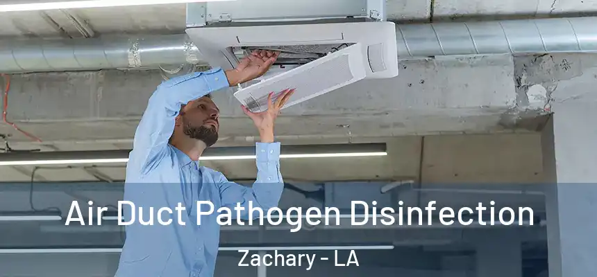 Air Duct Pathogen Disinfection Zachary - LA