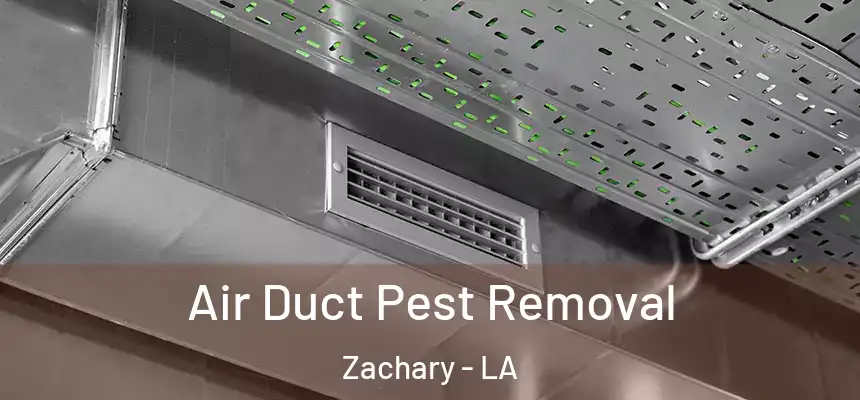 Air Duct Pest Removal Zachary - LA