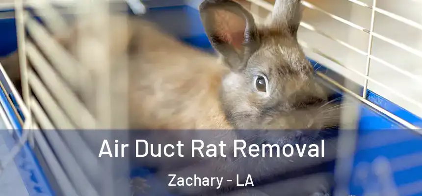 Air Duct Rat Removal Zachary - LA