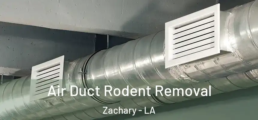 Air Duct Rodent Removal Zachary - LA