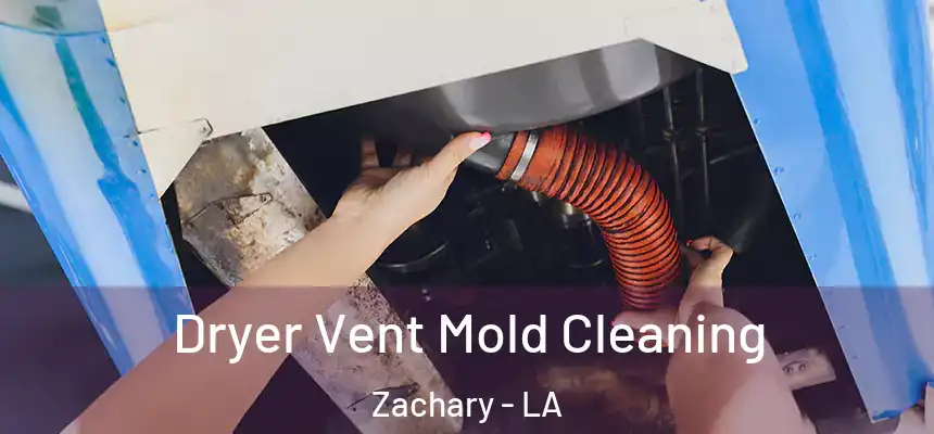 Dryer Vent Mold Cleaning Zachary - LA