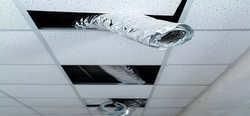 Affordable HVAC Sanitizing After Pest Removal in Zachary