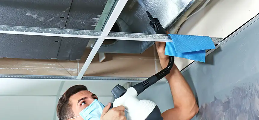 Our Air Duct Rodent Removal Services in Zachary, LA