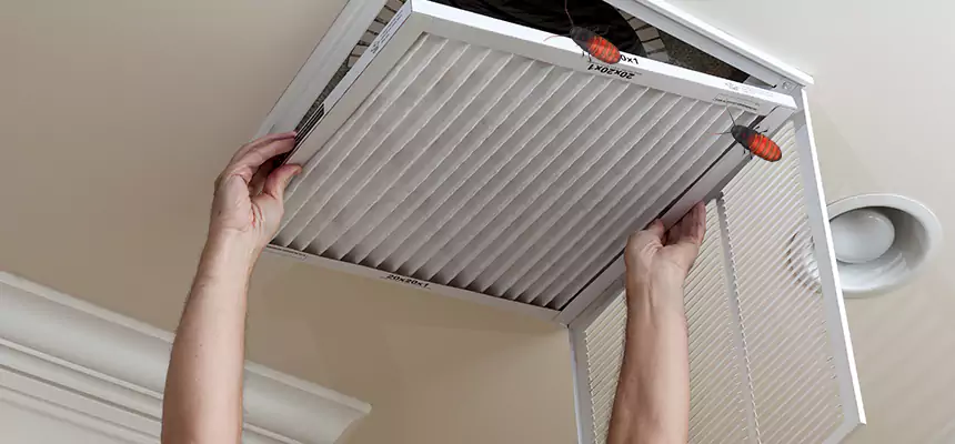 Our Insect Removal from Air Ducts Services in Zachary, LA