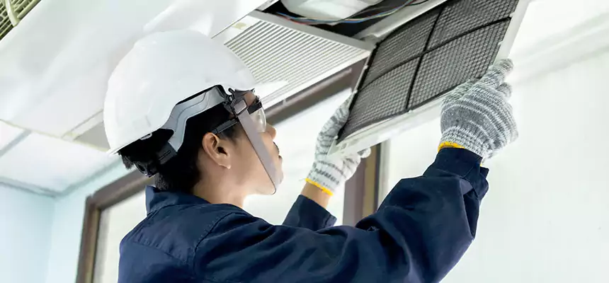 Our Mold & Mildew Removal from Air Ducts Services in Zachary, LA