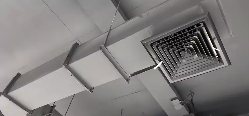 Our Pest Removal From Ducts Services in Zachary, LA