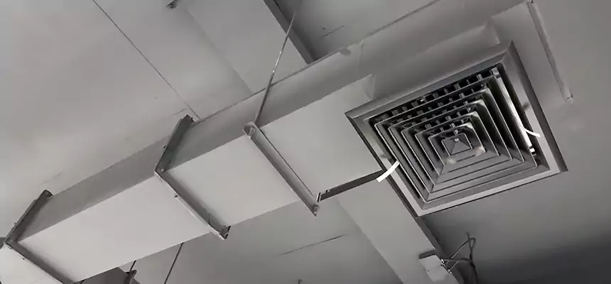 Our Rodent Droppings In Vents Services in Zachary, LA