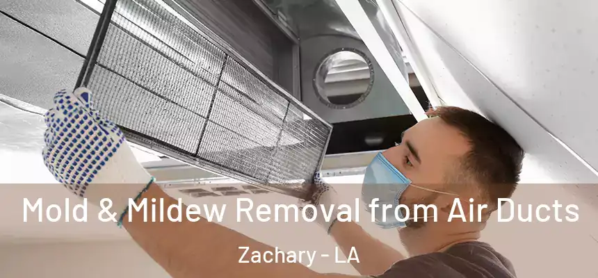 Mold & Mildew Removal from Air Ducts Zachary - LA