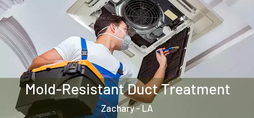 Mold-Resistant Duct Treatment Zachary - LA
