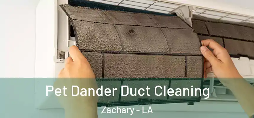  Pet Dander Duct Cleaning Zachary - LA