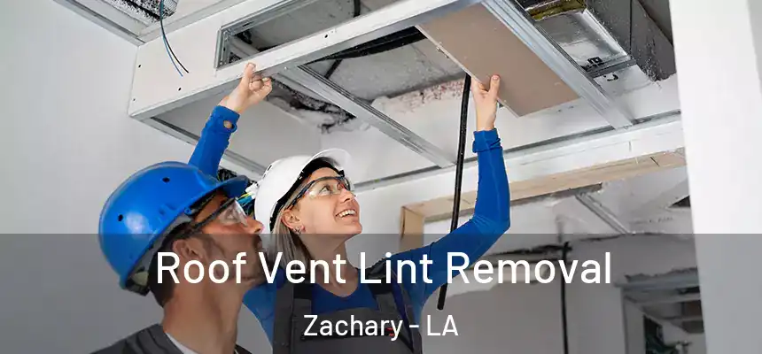 Roof Vent Lint Removal Zachary - LA