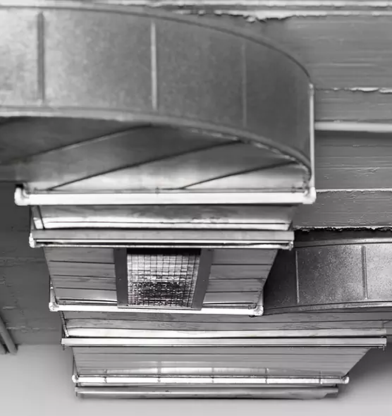 Professional Air Duct Pest Removal in Zachary, LA