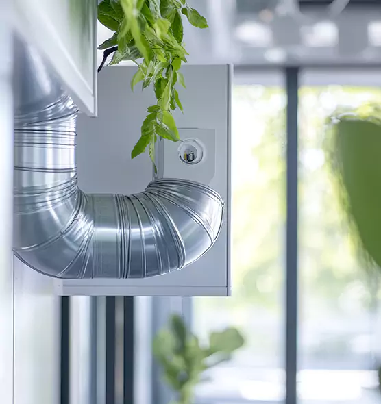 Professional Eco-Safe Dryer Vent Cleaning in Zachary, LA