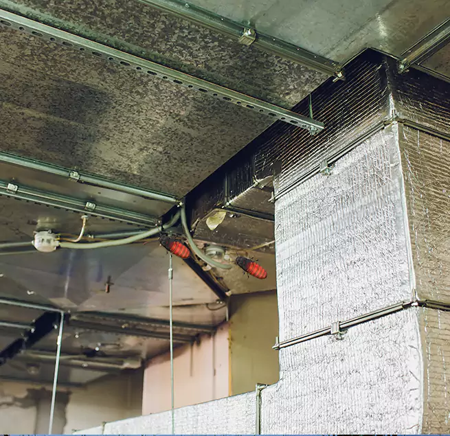 Why Homeowners & Businesses Trust Us in Zachary, LA?