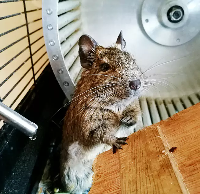 Why Homeowners & Businesses Trust Us Zachary, LA