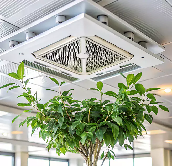 Why Homeowners & Businesses Trust Us in Zachary, LA?