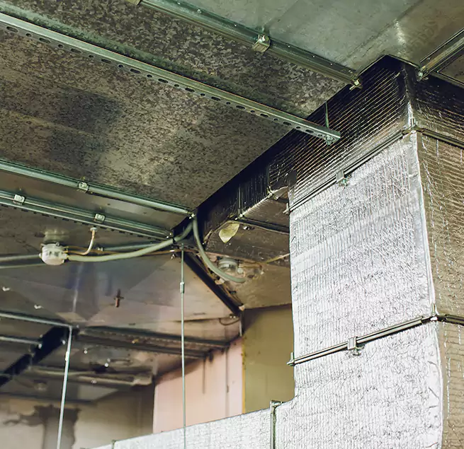 Why Homeowners & Businesses Trust Us in Zachary, LA?